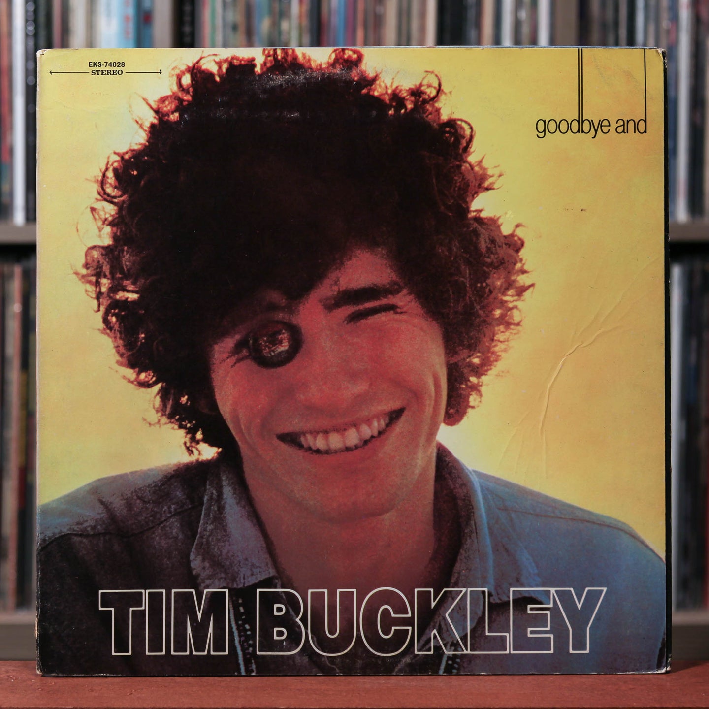 Tim Buckley - 2 LP Bundle - Self Titled, Goodbye and Hello