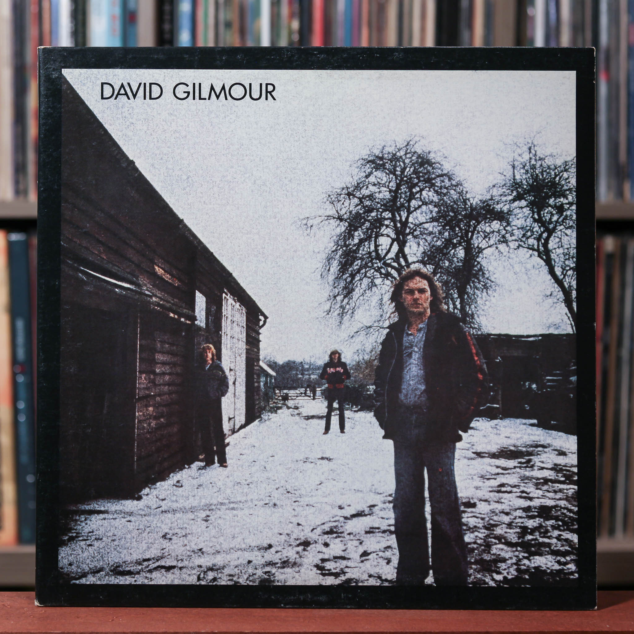 David Gilmour - David Gilmour - 1978 Columbia, VG+/VG+