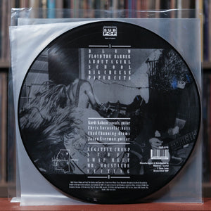 Nirvana - Bleach - Picture Disc - 2000 Sub Pop, EX
