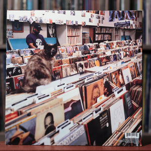 DJ Shadow - Endtroducing..... - 1996 Mo Wax, EX/VG