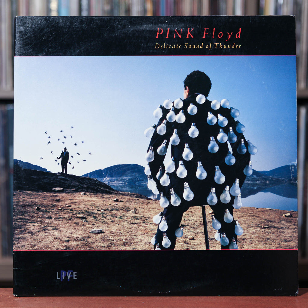 Pink Floyd - Delicate Sound Of Thunder - 2LP - 1988 Columbia, VG/VG