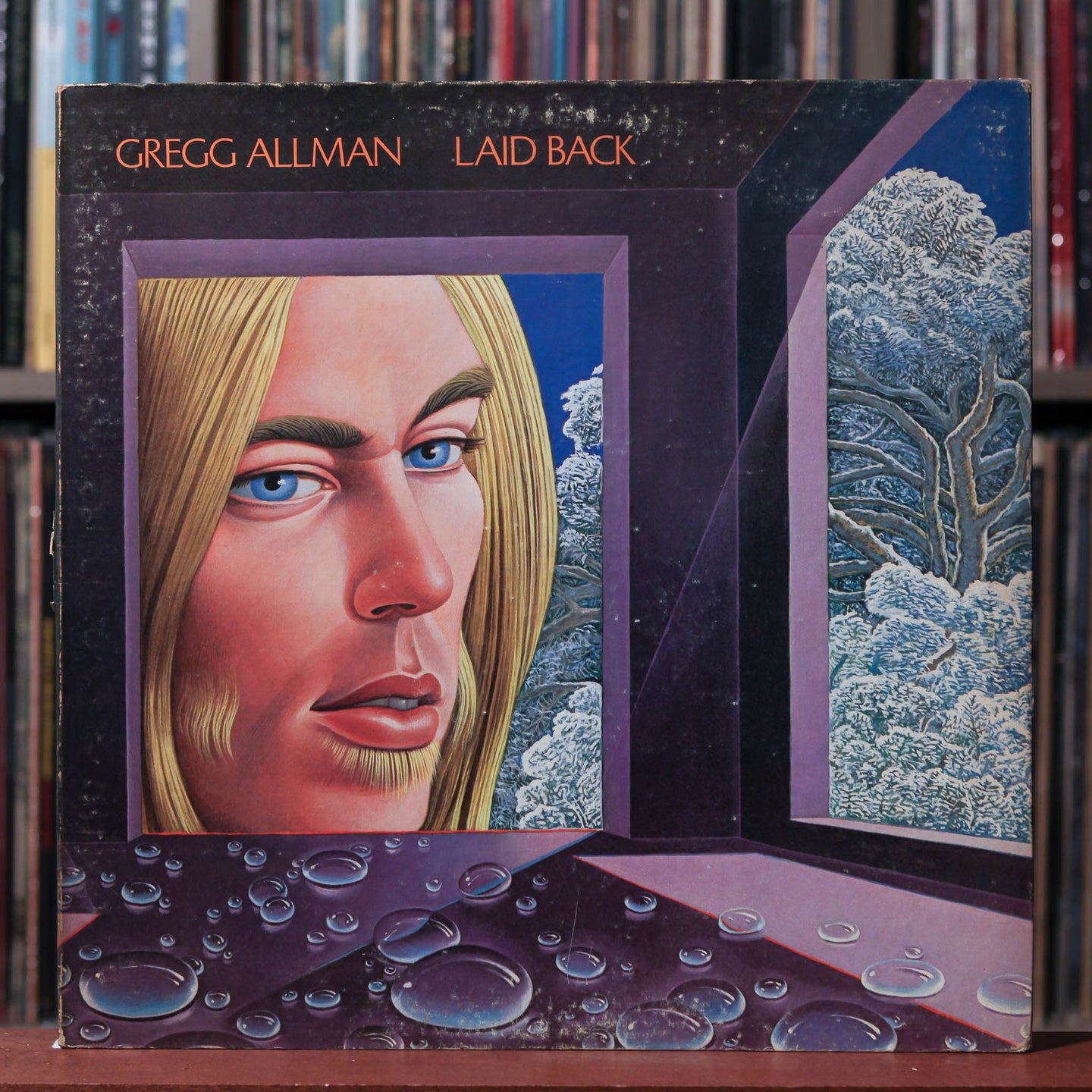 Gregg Allman – Laid Back - 1973 Capricorn Records, VG/VG