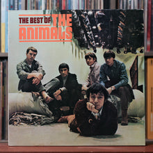 Load image into Gallery viewer, Product Image
