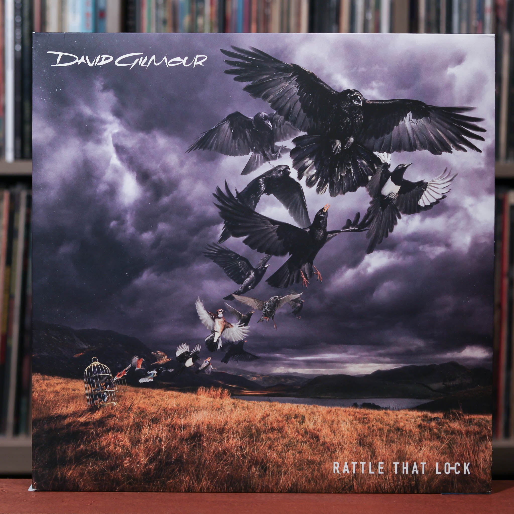 David Gilmour - Rattle That Lock - 2015 Columbia, EX/VG+