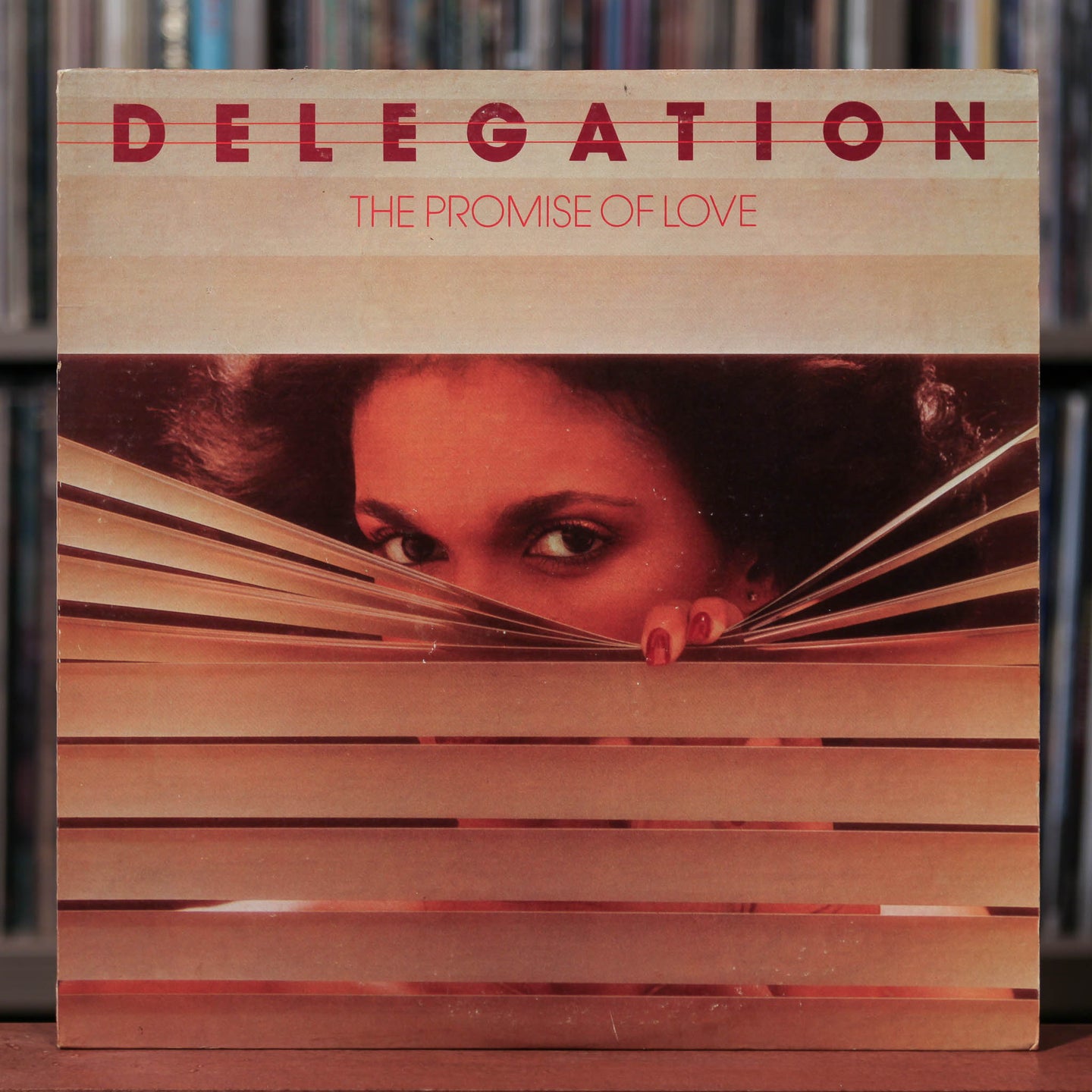 Delegation - The Promise Of Love - 1977 Shadybrook, VG/VG+