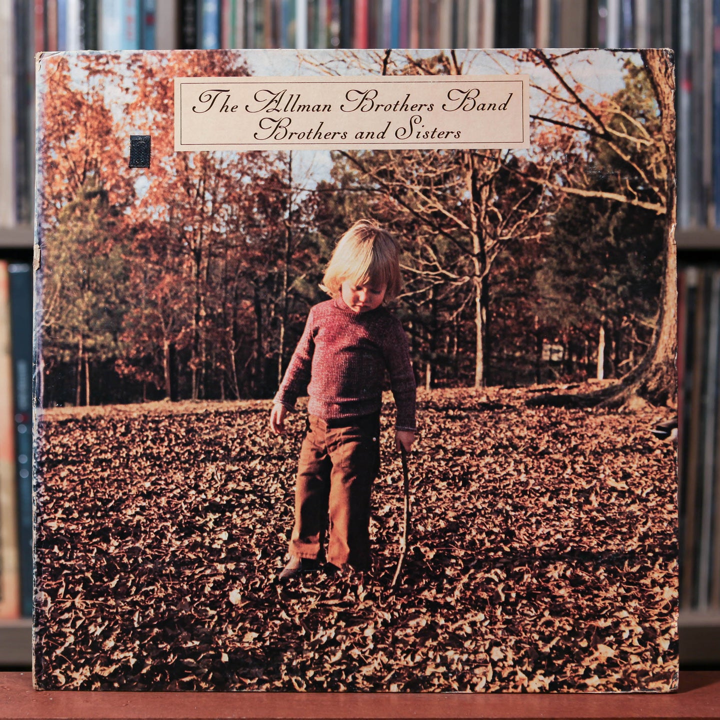 Allman Brothers -Brothers And Sisters - 1973 Capricorn, VG+/VG+