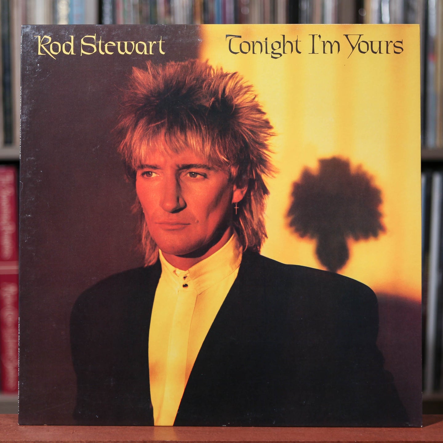 Rod Stewart - Tonight I'm Yours - 1981 Warner, EX/EX