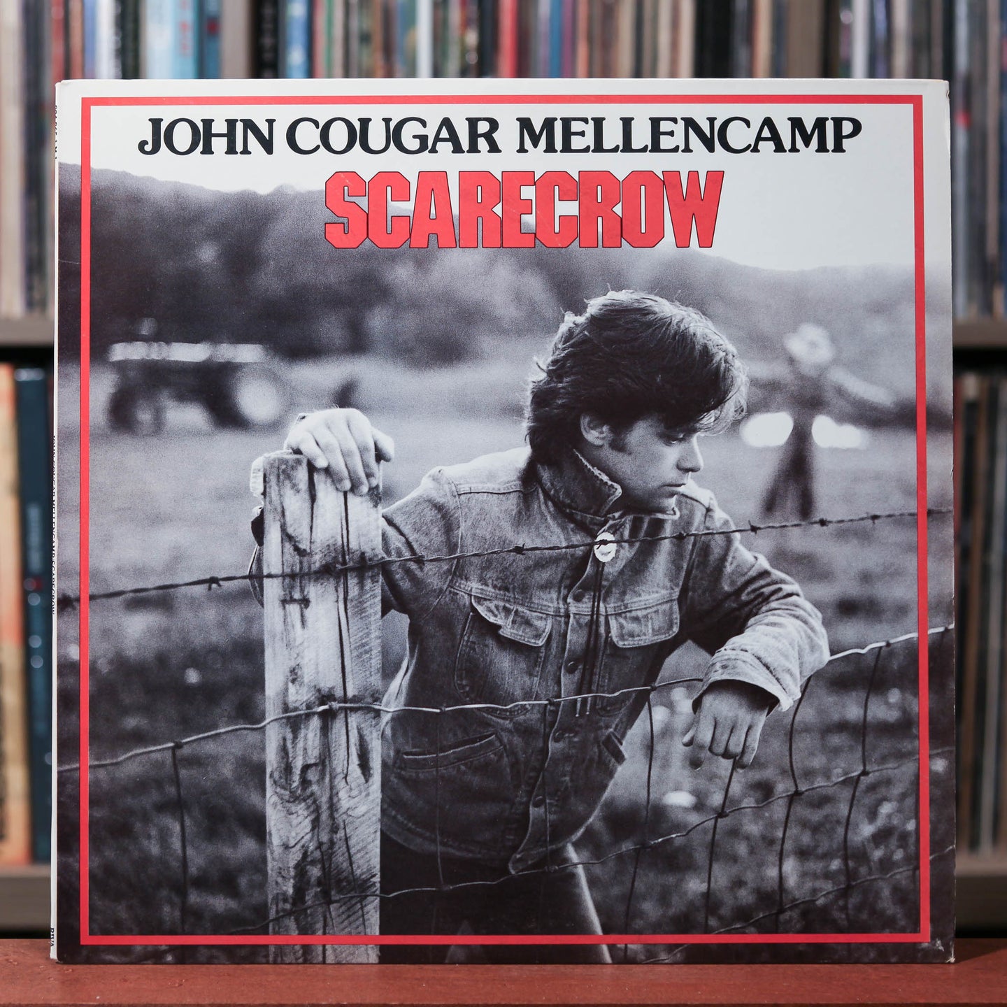 John Cougar Mellencamp - Scarecrow - 1985 Riva, VG+/VG+