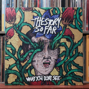 The Story So Far - What You Don't See - GREEN GALAXY VINYL 2022 Pure N