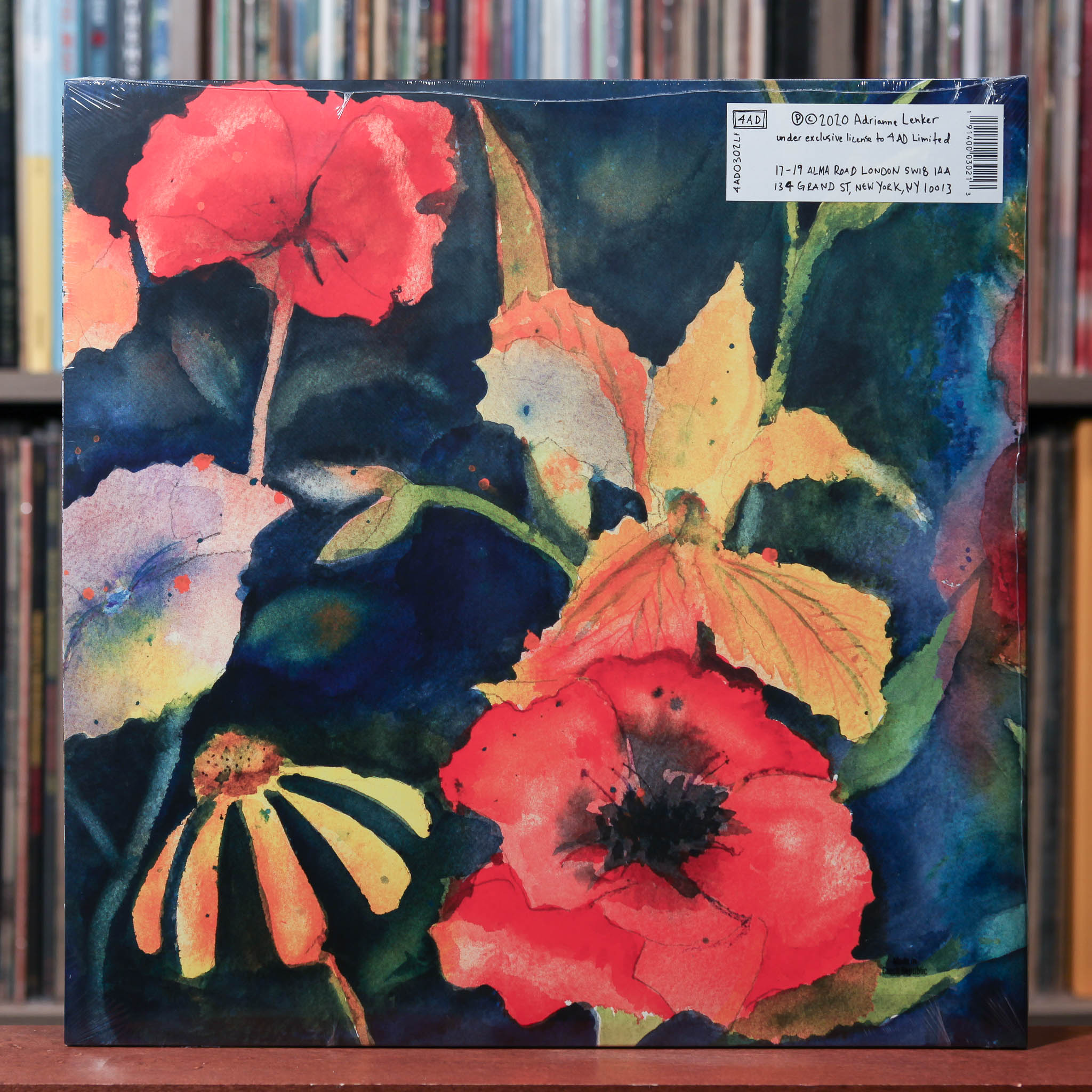 Adrianne Lenker - Songs And Instrumentals - 2022 4AD, SEALED NEW