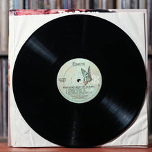 Load image into Gallery viewer, The Doors - Weird Scenes Inside The Gold Mine - 2LP - 1972 Elektra, EX/EX
