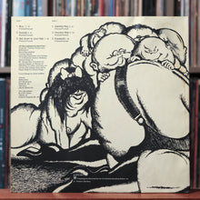 Load image into Gallery viewer, Hoodoo Man - Birth Control - EURO 1972 CBS, VG/VG
