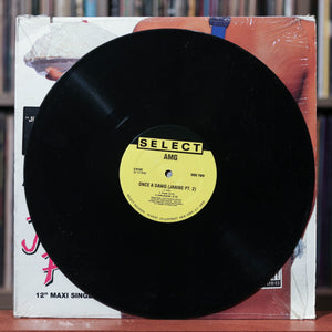 AMG - Jiggable Pie - 12" Single - 1991 Select, VG/VG w/Shrink