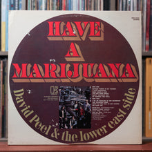 Load image into Gallery viewer, David Peel &amp; The Lower East Side - Have A Marijuana - 1968 Elektra, VG/VG

