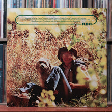 Load image into Gallery viewer, John Denver - John Denver's Greatest Hits - 1973 RCA, VG+/VG+
