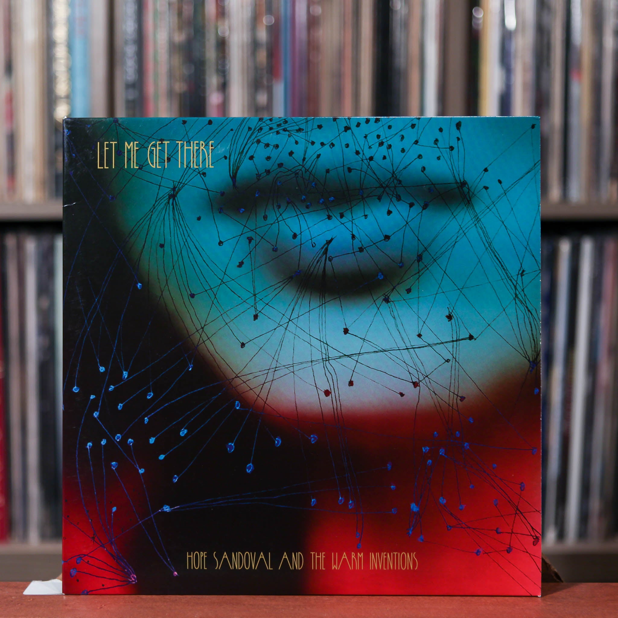 Hope Sandoval And The Warm Inventions - Let Me Get There - 10