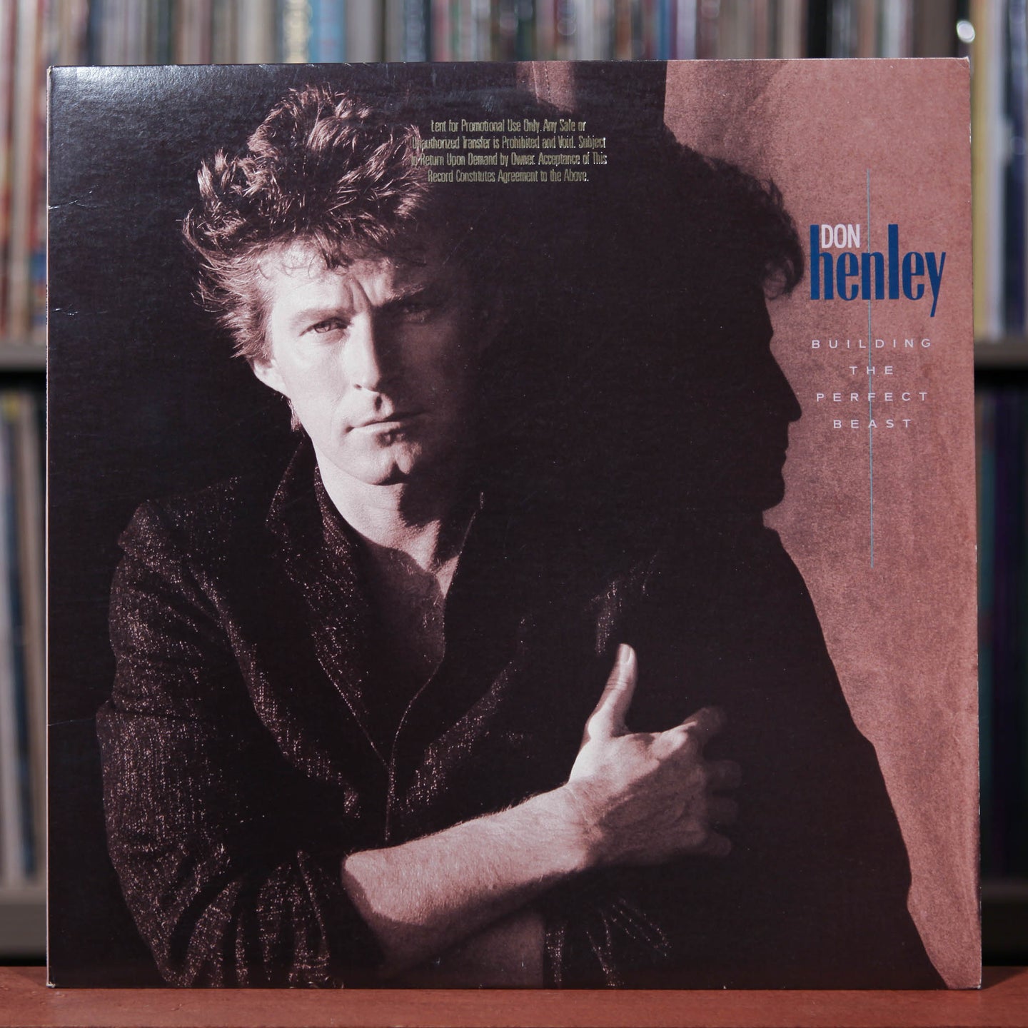 Don Henley - Building The Perfect Beast - Rare PROMO - 1984 Geffen, VG+/VG+